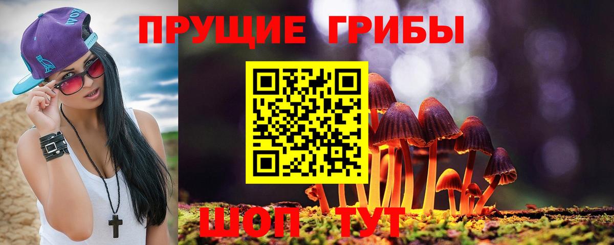 Галлюциногенные грибы GOLDEN TEACHER Дзержинский